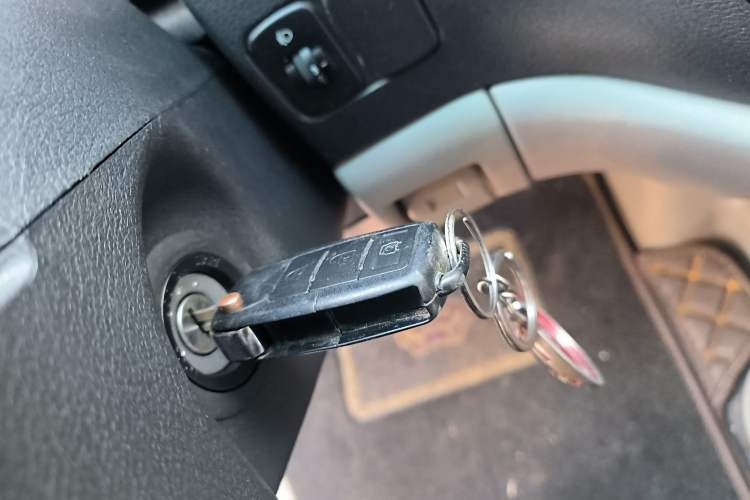 Used FORTHING Lingzhi 
