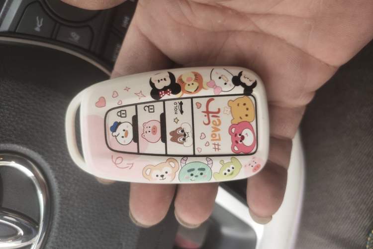 Used Toyota Corolla 2022 1.2T S-CVT Pioneer PLUS Edition Vehicle Key