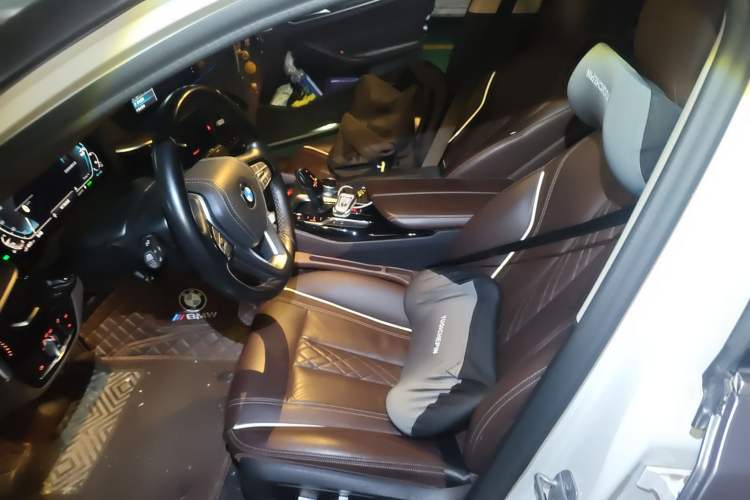 Used BMW 5 Series New Energy 2020 530Le Luxury Package
