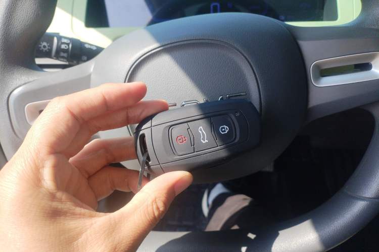 Used Geely Galaxy Panda 2023 Panda Mini New Year Edition Treasure Bear