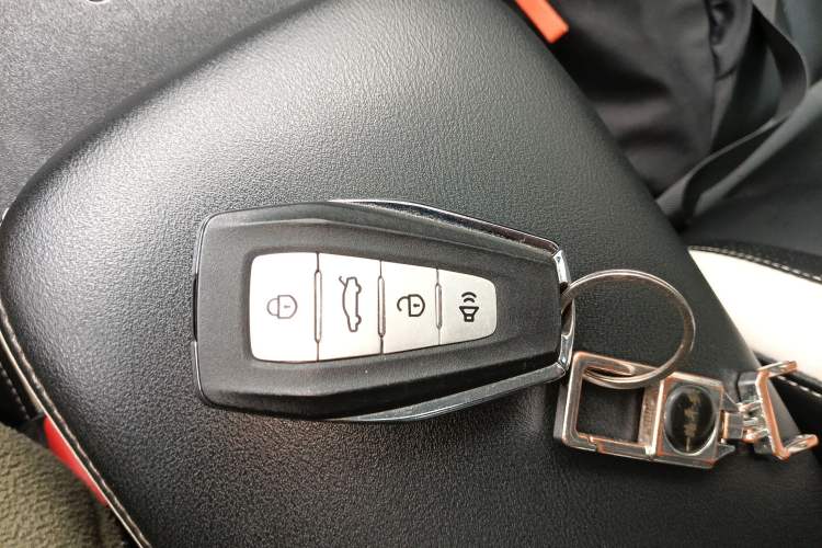 Used Geometry E Firefly 2023 401KM Linglong Tiger 5-Seater