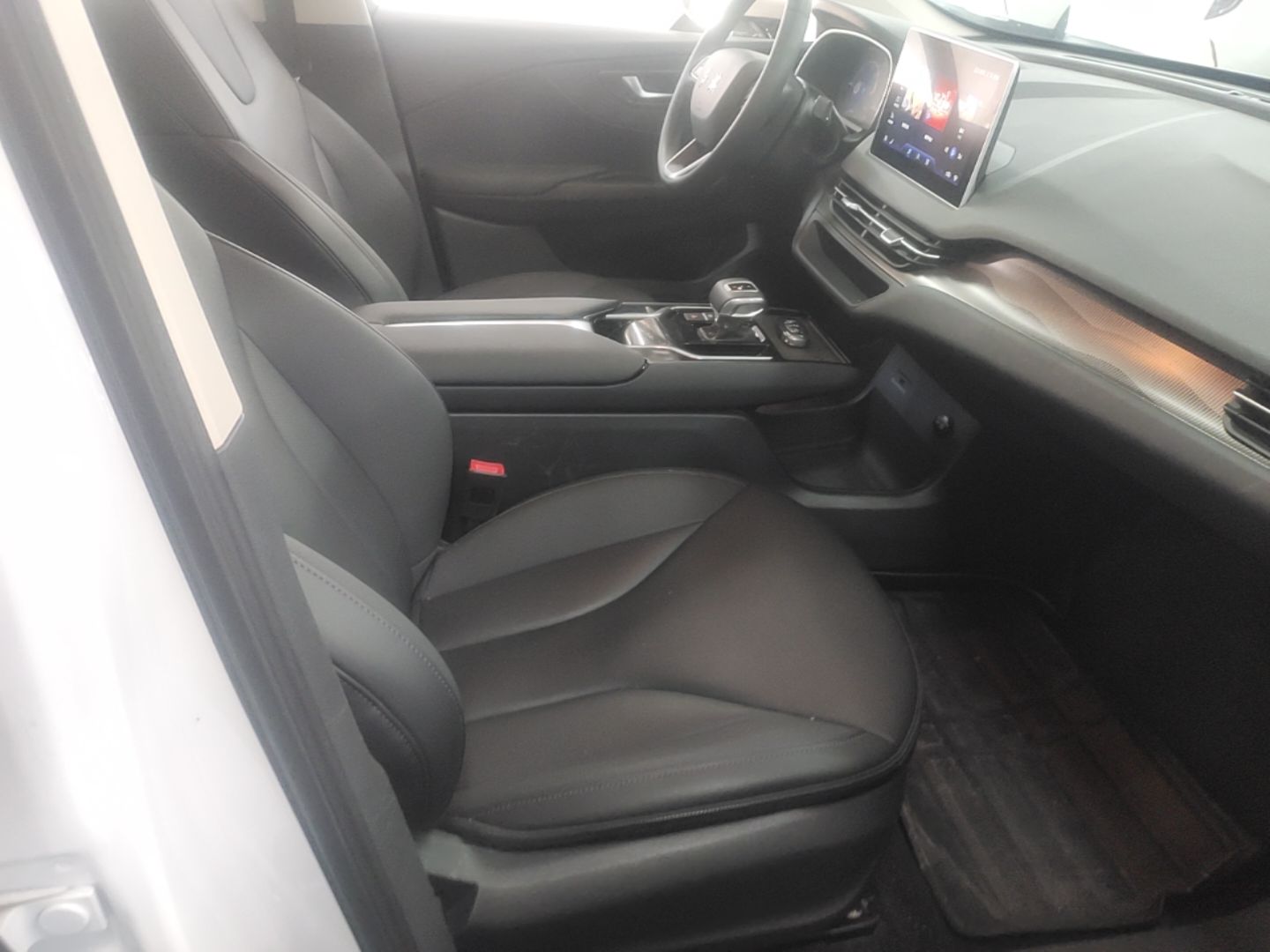 Hongqi E-QM5 2024 450km Range Commuter Version — снимка 19