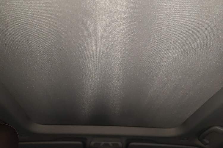 Used BMW X1 New Energy 2020 xDrive30Le Premium Edition Headliner