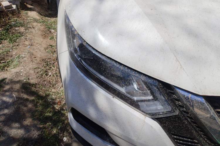 Used Nissan Qashqai 2022 2.0L CVT XV Smart Enjoyment Version
