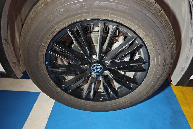 Used Venucia V 2022 260T Black Horse Edition · Idol
