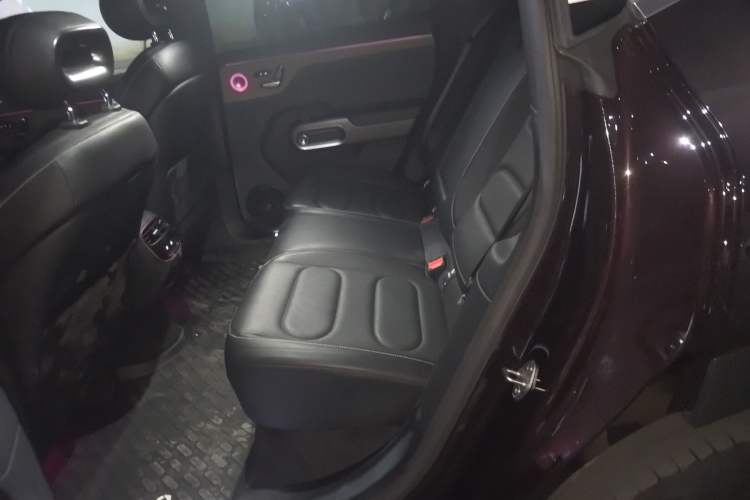 Used smart #5 2024 Ultra-Long Range Extraordinary Journey Luxury Edition Left Rear Seat