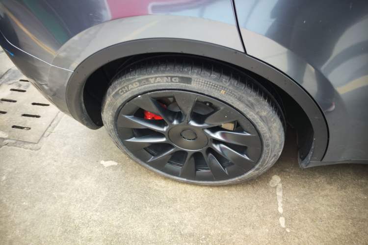 Used Tesla Model Y 2021 Standard Range Rear-Wheel Drive Version
