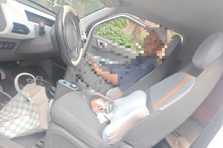 Used Geely Auto Panda 2024 Facelifted Panda Mini 200km Dragon Edition
