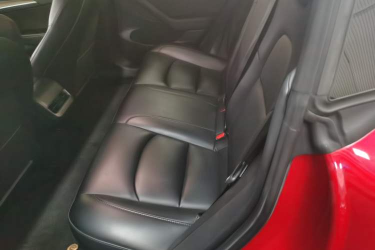 Used Tesla Model 3 2022 Rear-Wheel-Drive Version Left Rear Seat