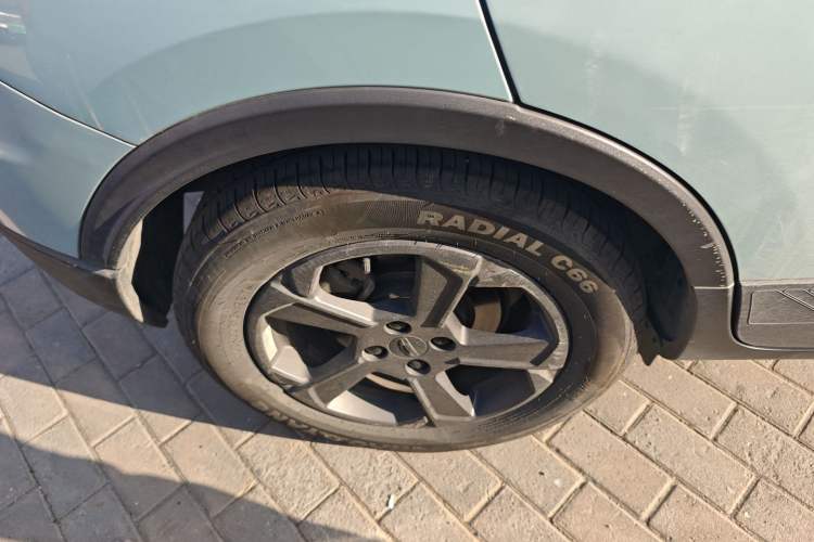 Used Geometry E Firefly 2022 401 km Linglong Tiger 4 Seats
