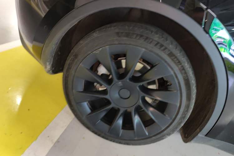 Used Tesla Model Y 2023 Rear-Wheel-Drive Version Exterior 5