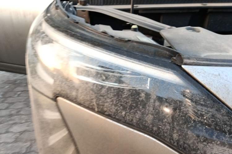 Used AION Y 2023 Plus 510 Smart Edition
