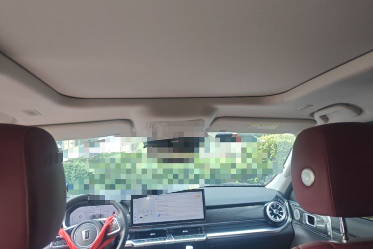 Used Tank 400 New Energy 2024 Hi4-T City Edition Headliner