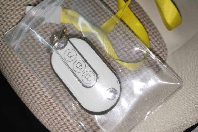 Used Wuling Hongguang MINIEV 2024 3rd Generation 215km Advanced Version