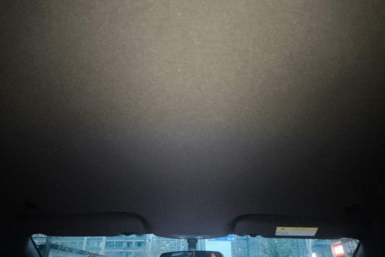 Used BYD Dolphin 2023 420 km Free Version Headliner