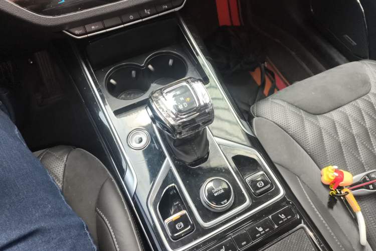 Used Hongqi HS5 2022 2.0T Smart Connect Flagship All-Wheel Drive LeGou Edition Gear Lever