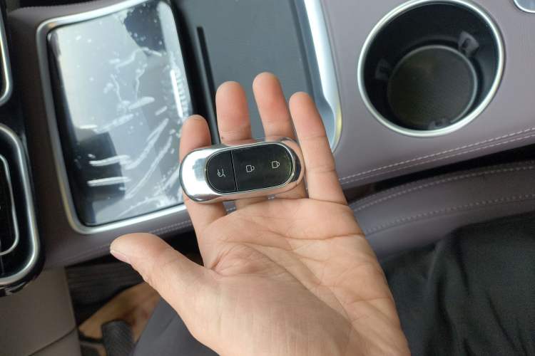 Used Leapmotor C11 2023 Range-Extended 200 Comfort Edition
