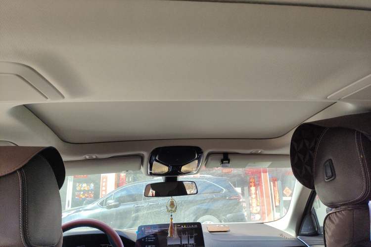 Used BMW 5 Series 2022 Second Facelift 530Li xDrive Luxury Package Headliner