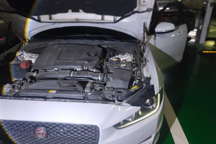 Used Jaguar XEL 2019 2.0T 200 PS Deluxe Edition
