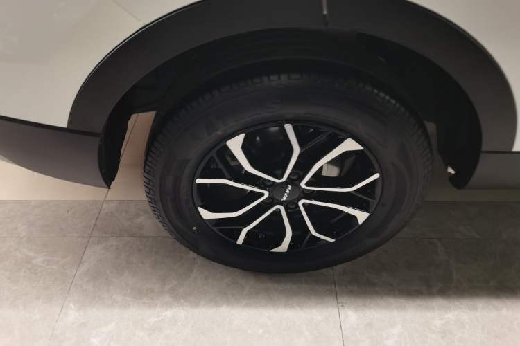 Used Haval H6 2023 National Trend Edition 1.5T Automatic Urban Version
