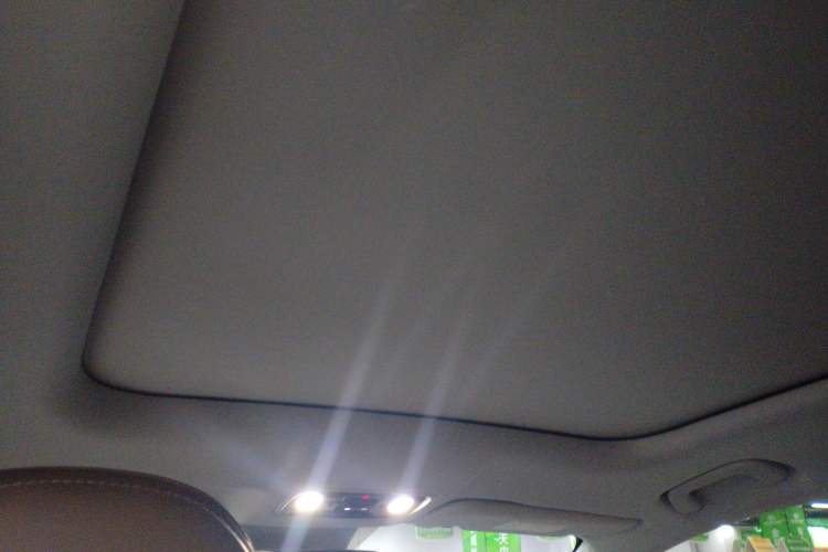 Used Leapmotor C11 2023 Range-Extended 300 Comfort Edition Headliner