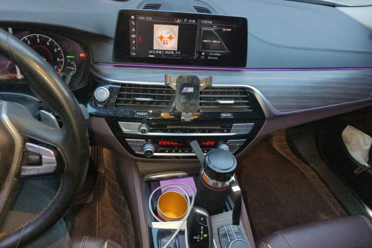 Used BMW 5 Series 2019 530Li Leading Model Luxury Package