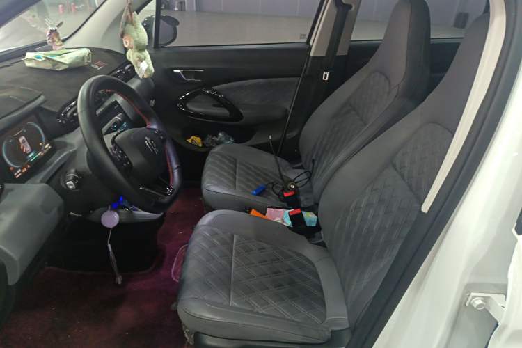 Used Leapmotor T03 2022 Star Diamond Edition Left Front Seat