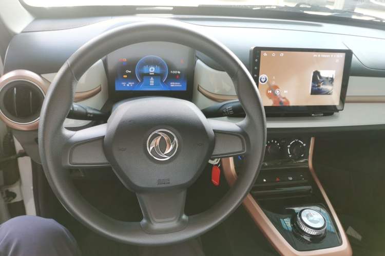 Used Dongfeng NAMMI EX1 2023 PRO Light Wind Edition Lightning Model