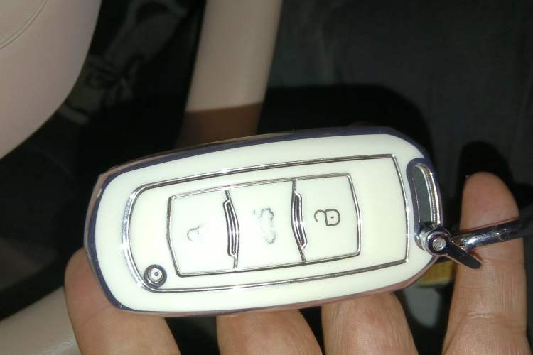 Used Geely Galaxy Panda 2024 200km Panda Kart
