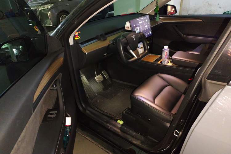 Used Tesla Model Y 2021 Standard Range Rear-Wheel Drive Version
