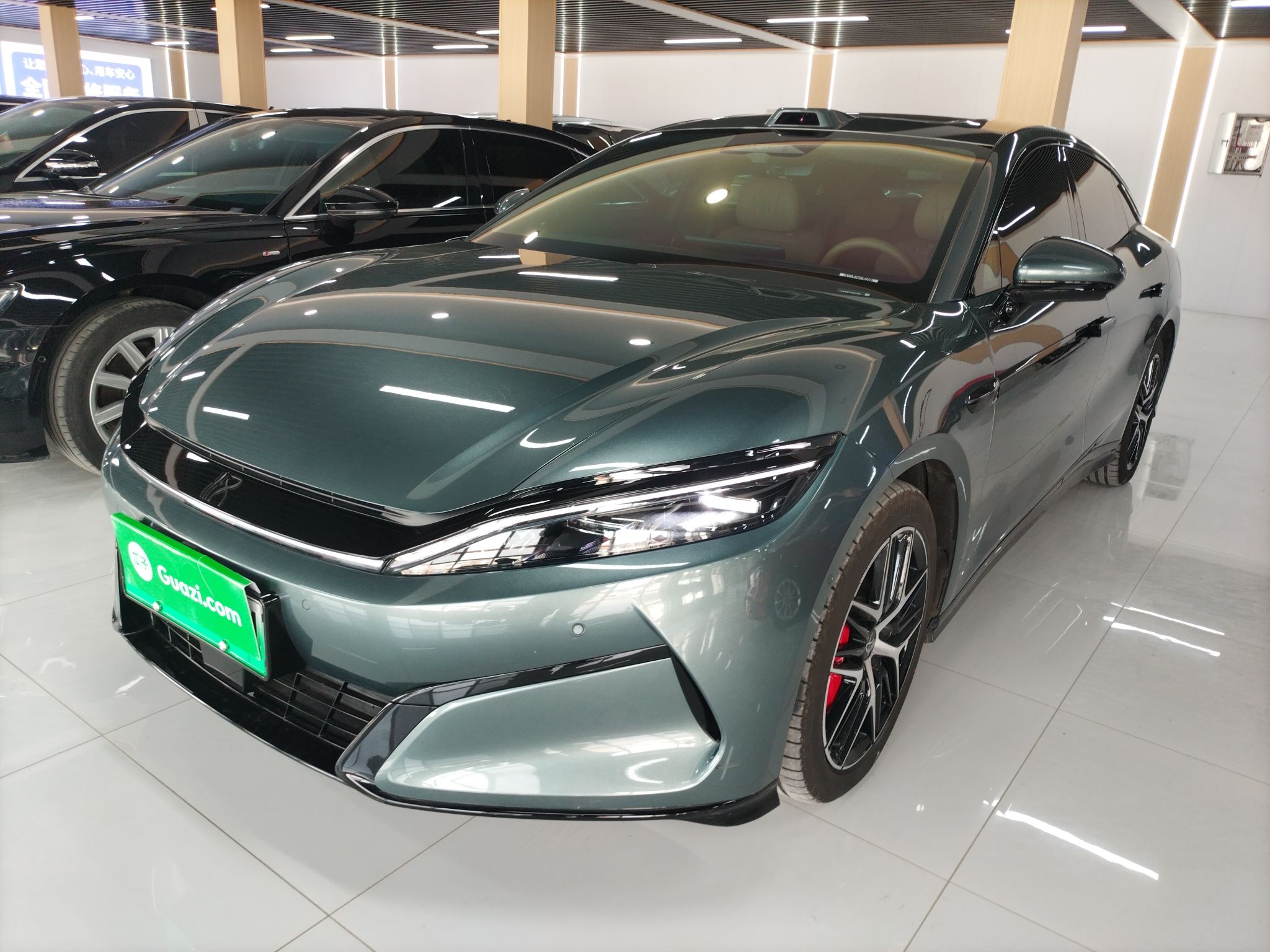 Parte inferior delantera