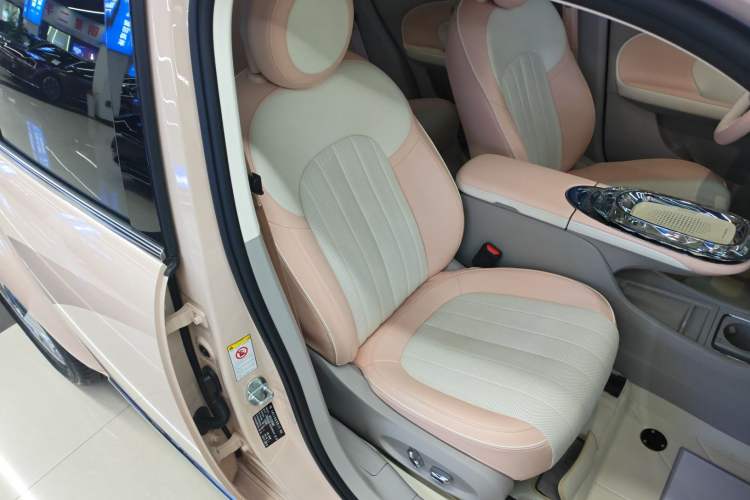 Used ORA Ballet Cat 2023 401 km Luxury Version
