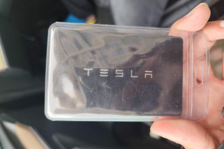 Used Tesla Model Y 2022 Revised Version Long-Range All-Wheel Drive