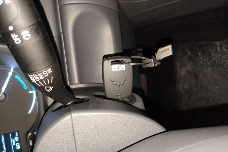 Used Wuling Hongguang New Energy 2024 All-Electric Model 300KM Standard Version
