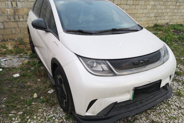 Used BYD Dolphin 2021 405 km Fashion Edition