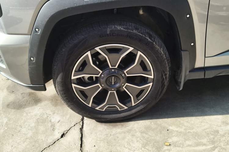 Used Haval H Dog New Energy 2023 DHT-PHEV 105km Tide Electric Version Plus Exterior 7