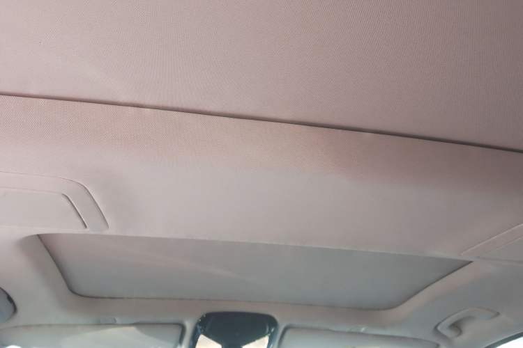 Used BMW 5 Series New Energy 2018 530Le Luxury Package Headliner