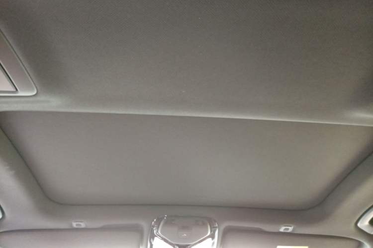 Used BMW 5 Series 2020 530Li Luxury Edition M Sport Package Headliner