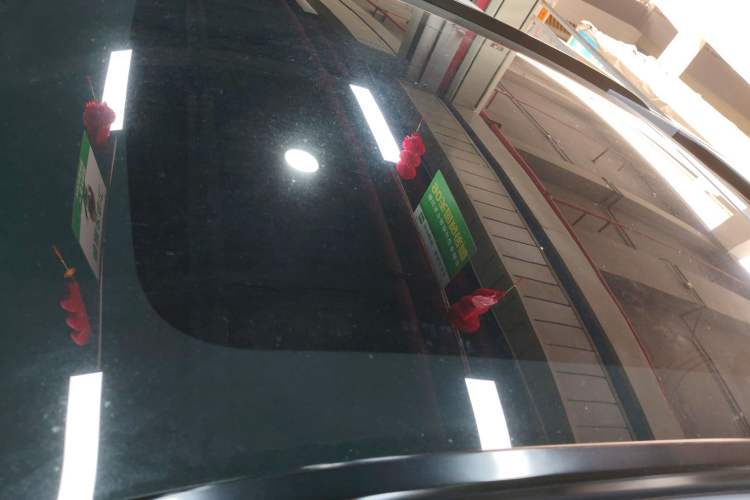 Used Venucia V 2021 260T Tianwang Edition
