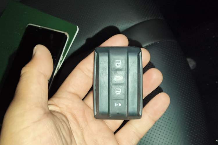 Used Tank 300 2024 2.0T Conqueror