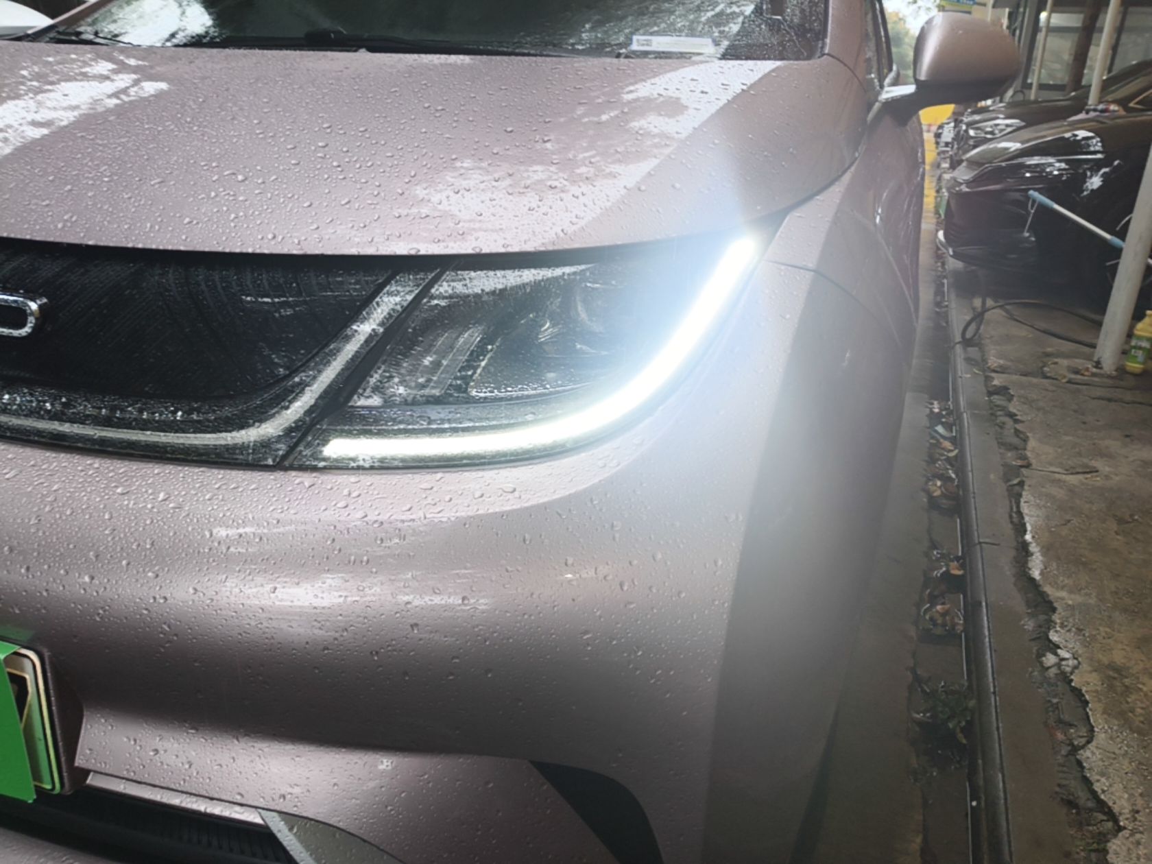 BYD Dolphin 2021 405 km Fashion Edition — снимка 8