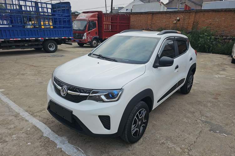 Used Dongfeng NAMMI EX1 2023 PRO Light Wind Edition Lightning Model