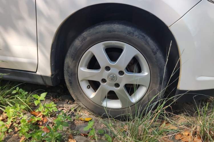 Used Venucia D50 2013 1.6L Automatic Fashion Edition