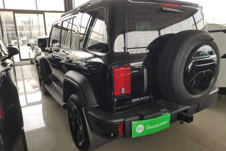 Used Tank 300 2024 2.0T Conqueror