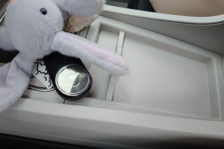 Used ORA Ballet Cat 2022 401 km Nutcracker Edition