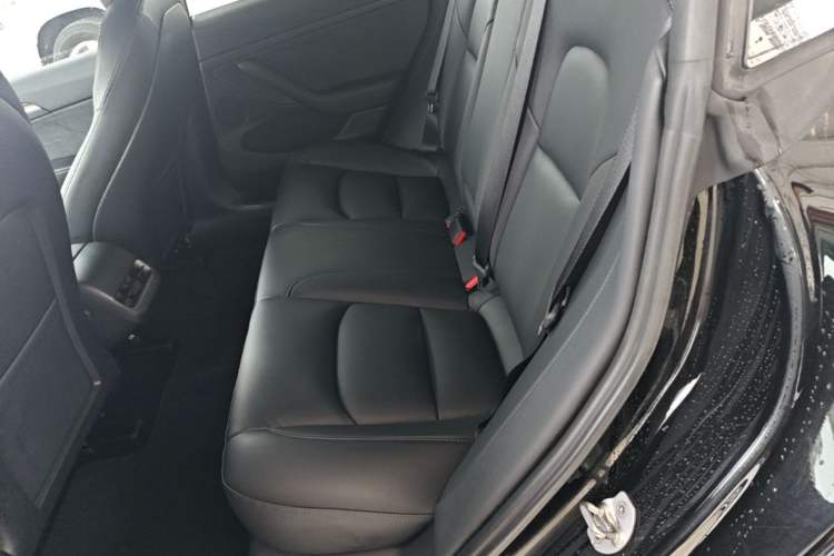 Used Tesla Model 3 2021 Performance High-Performance All-Wheel-Drive Version