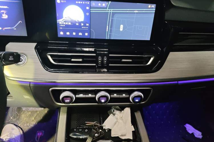 Used Hongqi HS5 2025 2.0T Two-Wheel Drive Flagship Pro Edition
