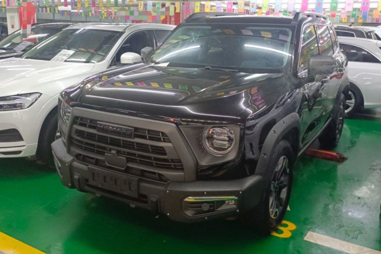 Used Haval DARGO 2024 2.0T DCT Chinese Rural Dog Edition