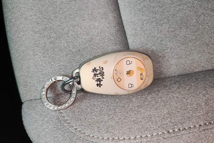 Used Leapmotor T03 2023 200 Lite Edition Interior 1