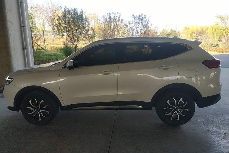 Used Haval H6 2023 National Trend Edition 1.5T Automatic Urban Version